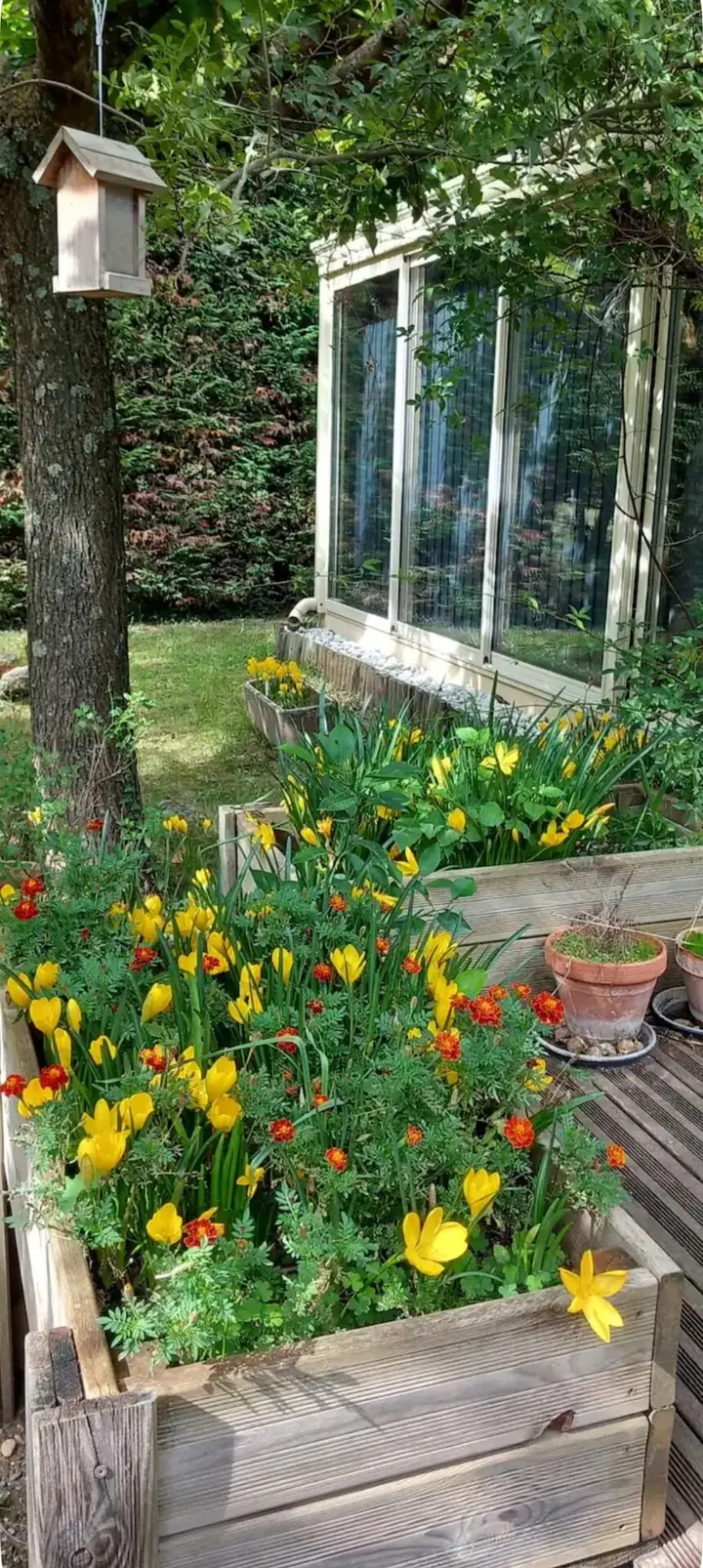 Flower garden at the Chamaret holiday home
